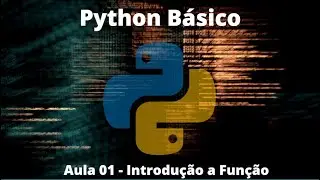 Curso de Python - Aula 13 - Como criar funções com Python - #pythonbasico