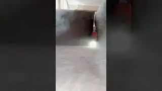 Тоська в тумане