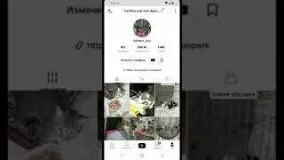 Как посмотреть баланс в ТикТок. (Подарки за прямые трансляции)