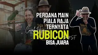 VIRAL  !!! Perdana Turun Piala Raja Cucak Hijau RUBICON Tembus 5 Besar Sesi Neraka