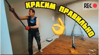 Как покрасить стены #покраска #освежитьстены #ремонт #малярныеработы #краскастен #валик #мастер