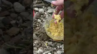 Сделай так и лови много. Карась, Карп, Лещ, Сазан #fishing #рыбалка