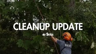 Cleanup Update