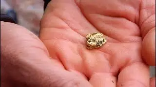 Gold Fever - Land Down Under the Land Down Under