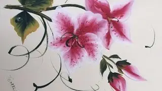 Azalea - 