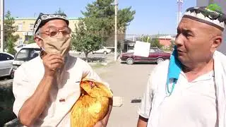 KAMPIR PAROT QILDI.....