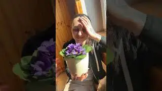 Jak ušetřit na MDŽ