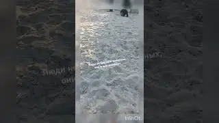 27 августа 2024г