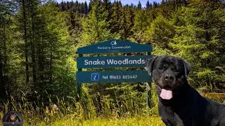 Camping At Snake Woodlands With Our Rottweiler