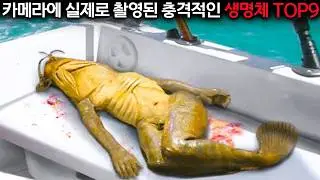 태국에서 발견한 이 15가지, 99%의 한국인들은 처음 볼 겁니다.