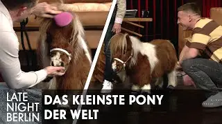 The world's smallest pony surprises Klaas & Felix Lobrecht in the studio | Late Night Berlin