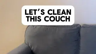 Let’s Clean This Couch