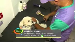 MEU BICHO MIMADO