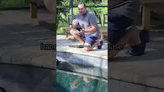 Pool Cleaner Review:  3 Day Test #shorts #poolcleaning