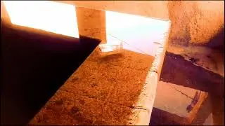 O frasco das mensagens voltou aos meus olhos .