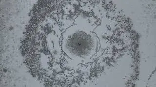 Ice Mandala Part 1# audio|visual ambient in 4K