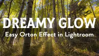 Create a Magic, Dreamy Glow (Orton Effect) in Lightroom. NO PHOTOSHOP REQUIRED.