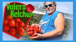Vaters Tomatenketchup (Ohne Chemie) Kurz/Rezept kurzanleitung