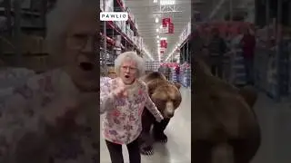 Grandma brings bear in the store #bodycam #dashcam #funny #ai #animal #sora2 #grandma #bear