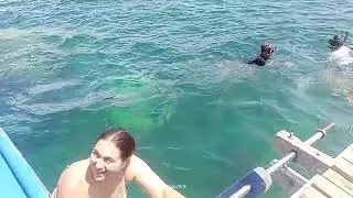 FISH FEEDING AT PAYONG PAYONG ISLAND
