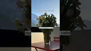 МАГИЯ ФЛОРИСТИКИ Turcan Dmitry 🟠 МК 2023  