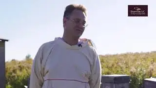 Кривенко Андрей