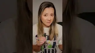 Summer Wells/ Family Knew!
