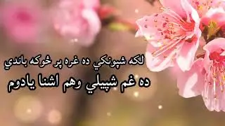 لکه شپونکي ده غره پر څوکه باندي ده غم شپیلي وهم  غږ : مجروح طالب #پشتوتراني #پشتونعتونہ_اونظمونہ1