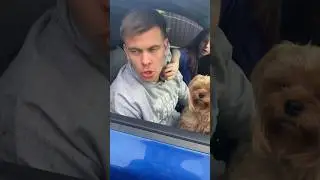 Бородинский хлеб 🍞 #shorts #tiktok #отдых #kretsrelax