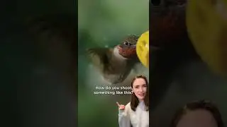 “How did they get that shot!?” 😱😱😱