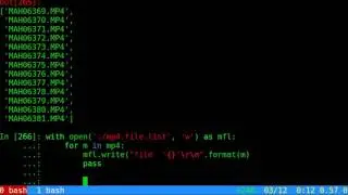 concat video files inside ipython with subprocess - connect video clips to single one