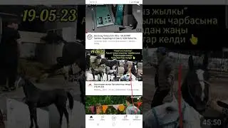 Ютубтан мен қараған видеоны қалай табады