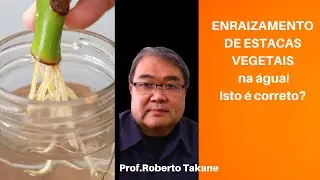 ENRAIZAMENTODE ESTACAS VEGETAIS na água! Isto é correto? Prof.Roberto Takane