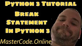 How to use the break statement in Python