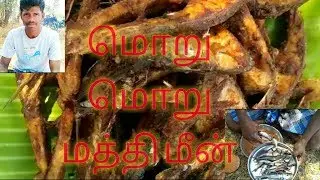 மொறு மொறு மத்தி மீன் | crunchy Sardine fish | head weight vision
