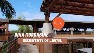 DÉCOUVERTE DU DINA MORGABINE