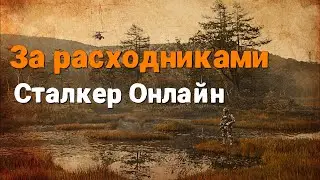 Stalker Online |Stay Out |Сталкер Онлайн: Стрим