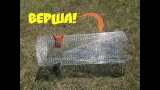 Верша! Ловушка для Рыб!