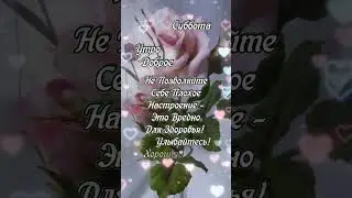 17 марта 2023 г.