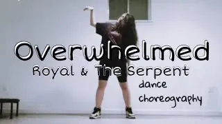 Overwhelmed - Royal & The Serpent | Rocky Wonder Choreography