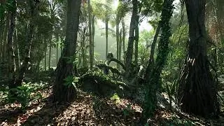 [4K] Photorealistic Tropical Rainforest in Unreal Engine 5 | Relaxing Cinematic Tour