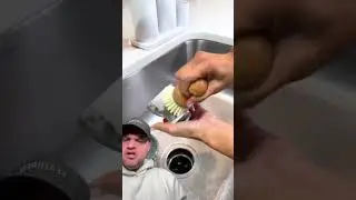 THE PICKLE JAR WAS A GOOD ONE 