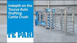 In Depth | The Taurus Auto Drafting Cattle Crush | Te Pari Products