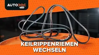 Changing the V-ribbed belt [AUTODOC TUTORIAL]