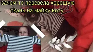 ЗАЧЕМ-ТО ПЕРЕВЕЛА ХОРОШУЮ ТКАНЬ НА МАЙКУ ДЛЯ КОТА 