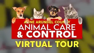 Animal Care & Control Virtual Tour | June 21st, 2023