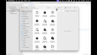 SwiftUI Mini Project Scrollable Card View and Segmented Control PART 1