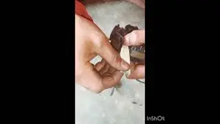 Cara merakit kembali splu pengapian pada grand dan sejenisnya @lammamora1997