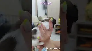 ГРАЦИЯ!!!