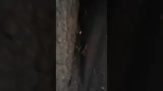 ЛЮТЫЙ ВОВА. НАШЛИ БРОШЕННУЮ НОЧЛЕЖКУ В ТАЙГЕ